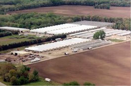 1/2 million square feet of greenhouse space