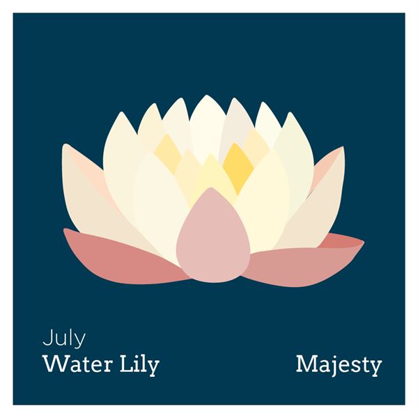 bf_water_lily.png