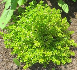 8013aafe357049b0b0422abff18404