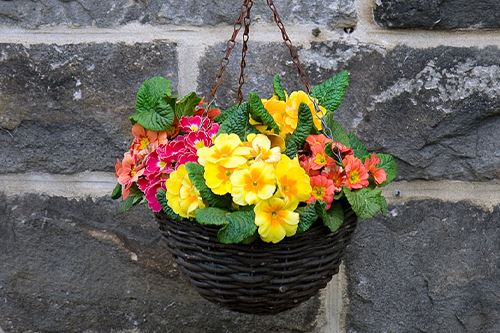 Kaw-hanging-basket.png