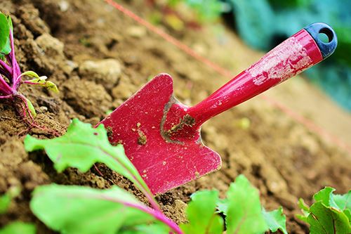 Kaw-gardening-tool.png