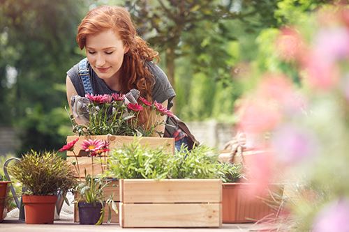 Kaw-planting-containers.png