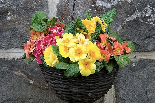 hanging basket yellow orange and pink