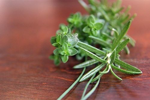 gardening-for-better-health_herbcloseup.jpg