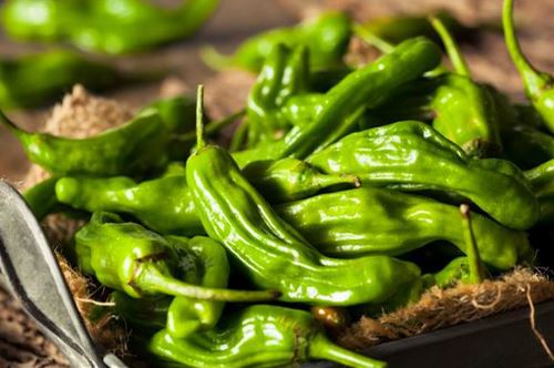 top-new-edibles-2020-green-pepper.jpg