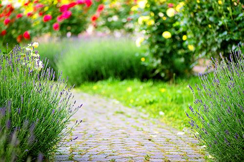 Kaw-blog-garden-style.jpg