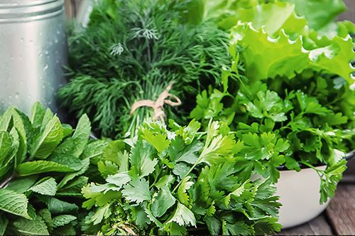 kaw-valley-growing-herbs-mixed-header.jpg