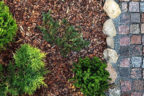 kaw-valley-mulch-shrubs-paving-stones.jpg