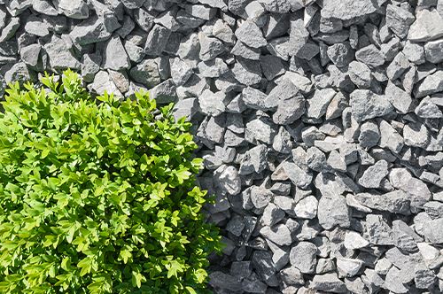 kaw-valley-mulch-gravel-mulch-shrub.jpg