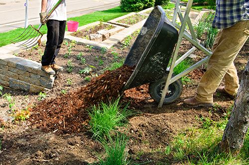 kaw-valley-mulch-application-wheelbarrow.jpg