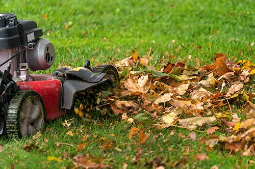 kaw-valley-prepare-yard-for-winter-leaves-lawnmower.jpg