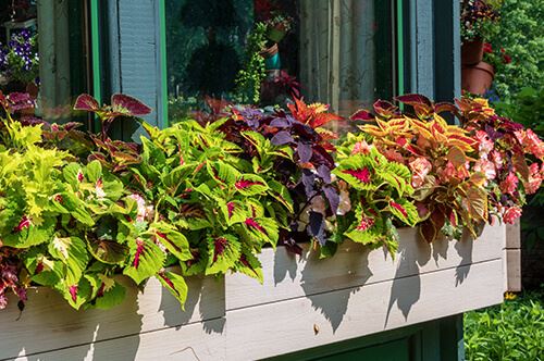 kaw valley new gardening trends raised garden beds.jpg