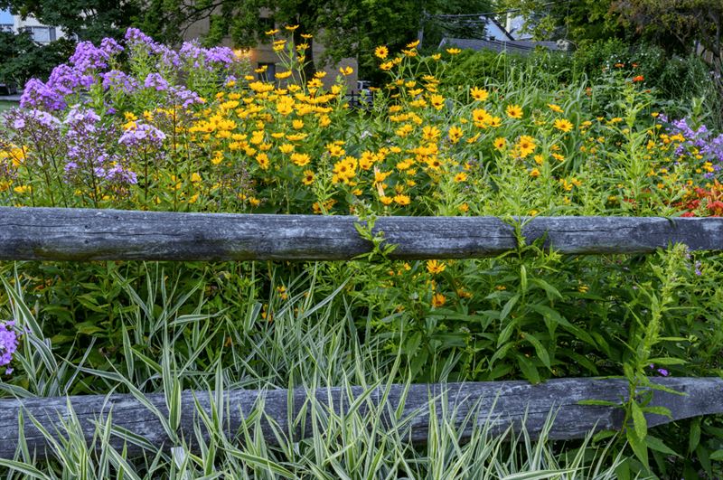 kaw valley greenhouse ecological gardening wildflowers native plants.png