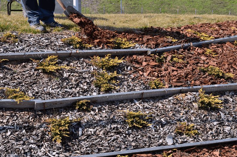 kaw valley greenhouse mulching garden.png