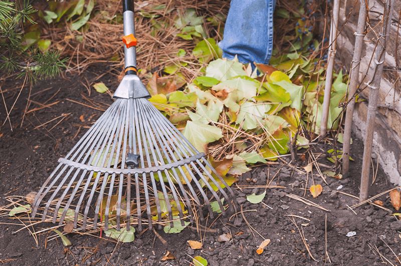 kaw valley greenhouse removing excess vegetation.png