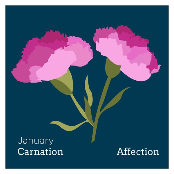 birth_flowers_carnation.png