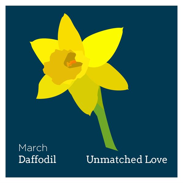 bf_daffodil.png