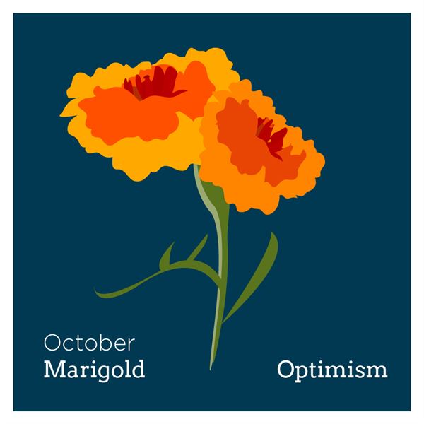 bf_marigold.png