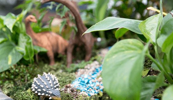 kaw valley greenhouse mini dinosaur garden1.png