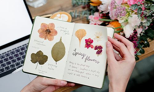 kaw valley greenhouse - saving summer forever-pressed flowers in journal.jpg