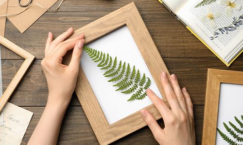 kaw valley greenhouse - saving summer forever-dried fern_.png