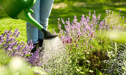 kaw valley greenhouses- whats your garden missing - watering the garden.png