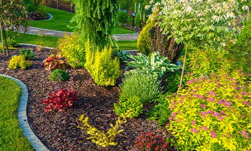 kaw valley greenhouses- whats your garden missing - proper spacing in the garden.png