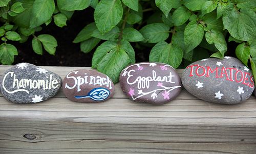 kaw valley greenhouse -DIY Garden markers --painteg garden rock labels.png