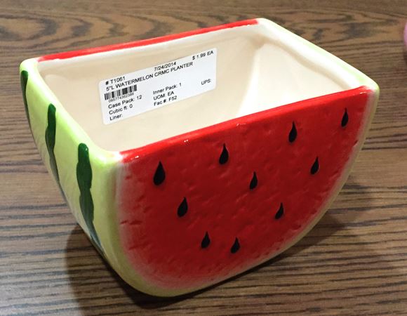 Watermelon Indoor Planter - Pottery & Decor - Kaw Valley Greenhouses